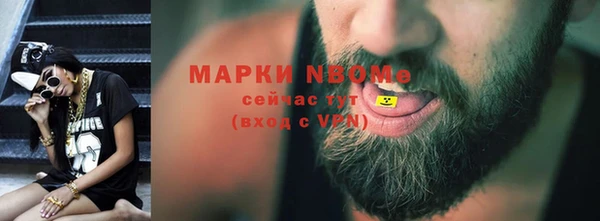 крисы Горняк