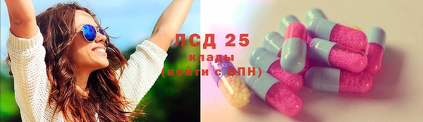 крисы Горняк