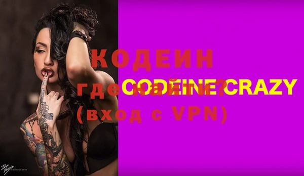 крисы Горняк