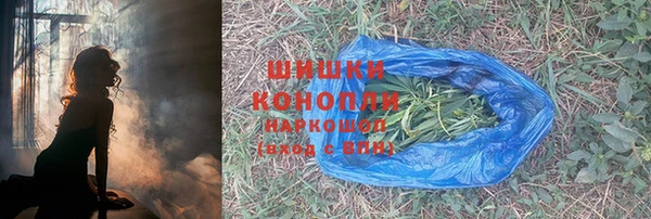 крисы Горняк