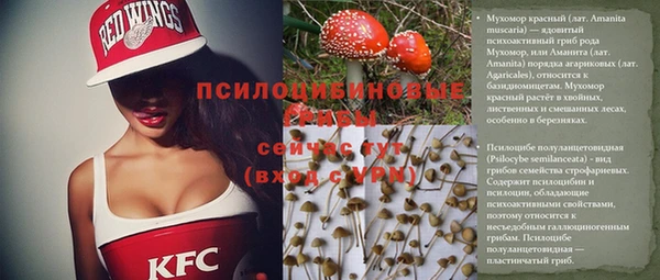 крисы Горняк