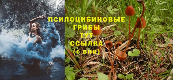 крисы Горняк