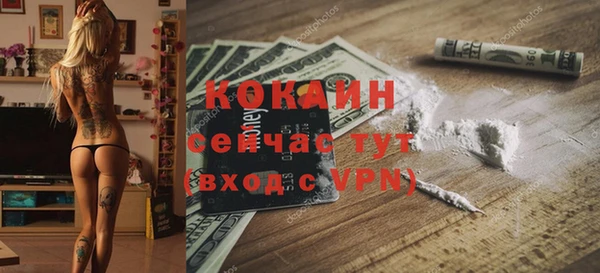 крисы Горняк