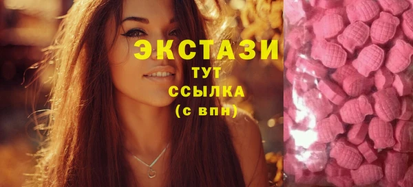 крисы Горняк