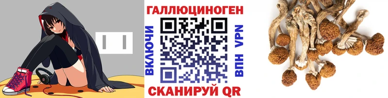 даркнет сайт  Пласт  Псилоцибиновые грибы мицелий 